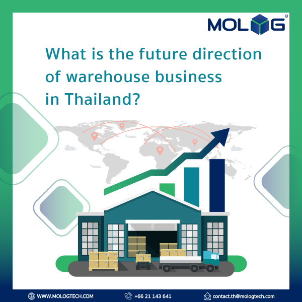 What is the future direction of Warehouse Business in Thailand?