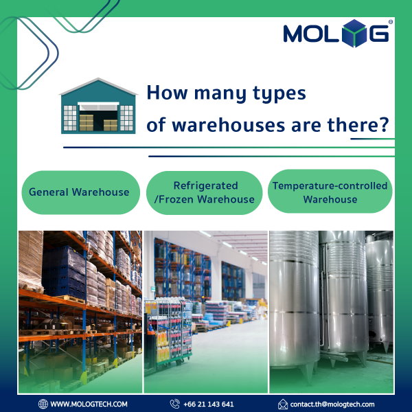 Warehouse Business in Thailand